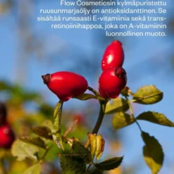 Flow Cosmetics Rosehip Intensive Treatment Oil ruusunmarjaöljy 30ml