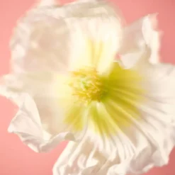 Hajuvesi NUORI Parfum Naturel Midsommer 50ml
