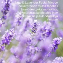 Kasvovesi epäpuhtaalle iholle Flow Cosmetics Sage & Lavender 100ml
