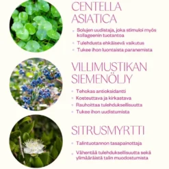 Kasvovoide Flow Cosmetics Bilberry & Centella Cream 50ml