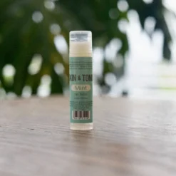 Skin & Tonic Mint Lip Balm huulirasva 4,3g